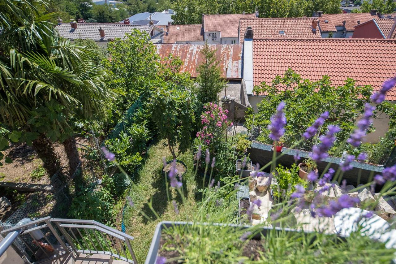 تْسْغيكفانِتْسا Apartment Zorica المظهر الخارجي الصورة